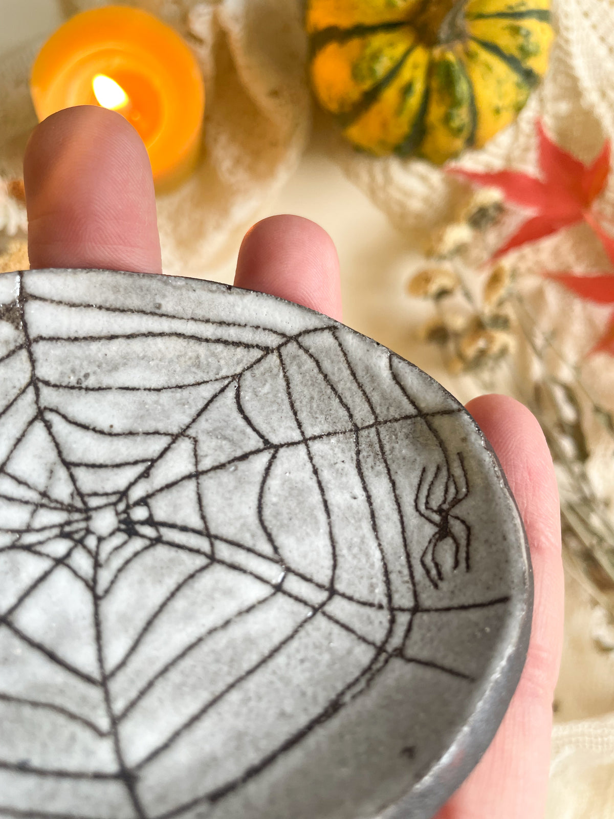 Spider dish