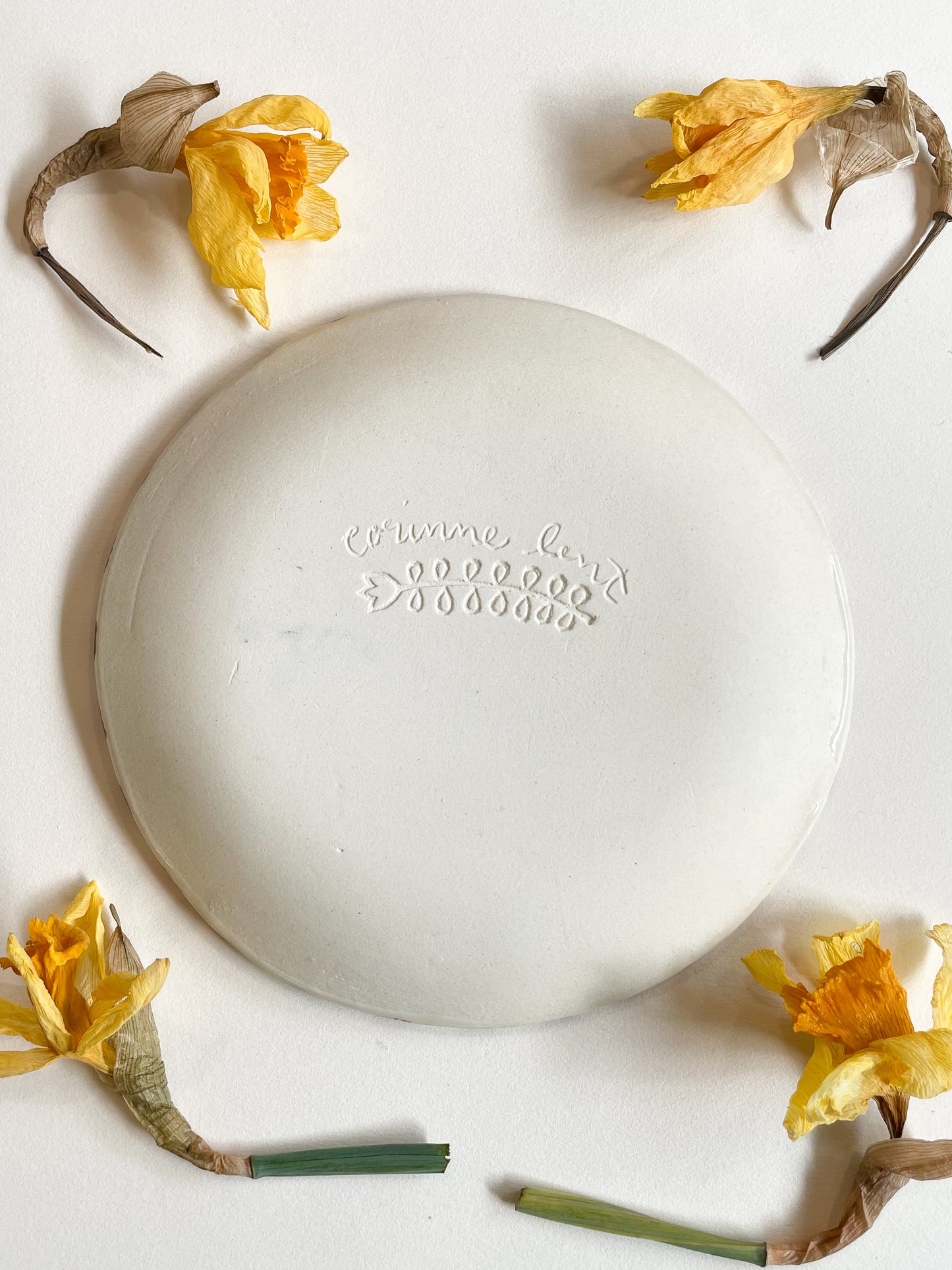 decorative dish*seconds