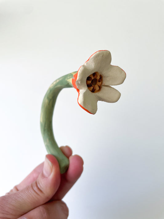 Forever flowers