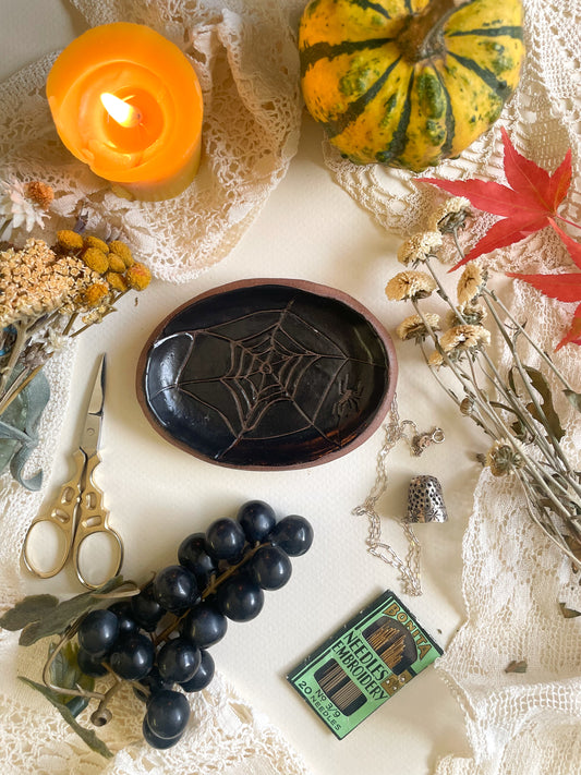 Spider dish