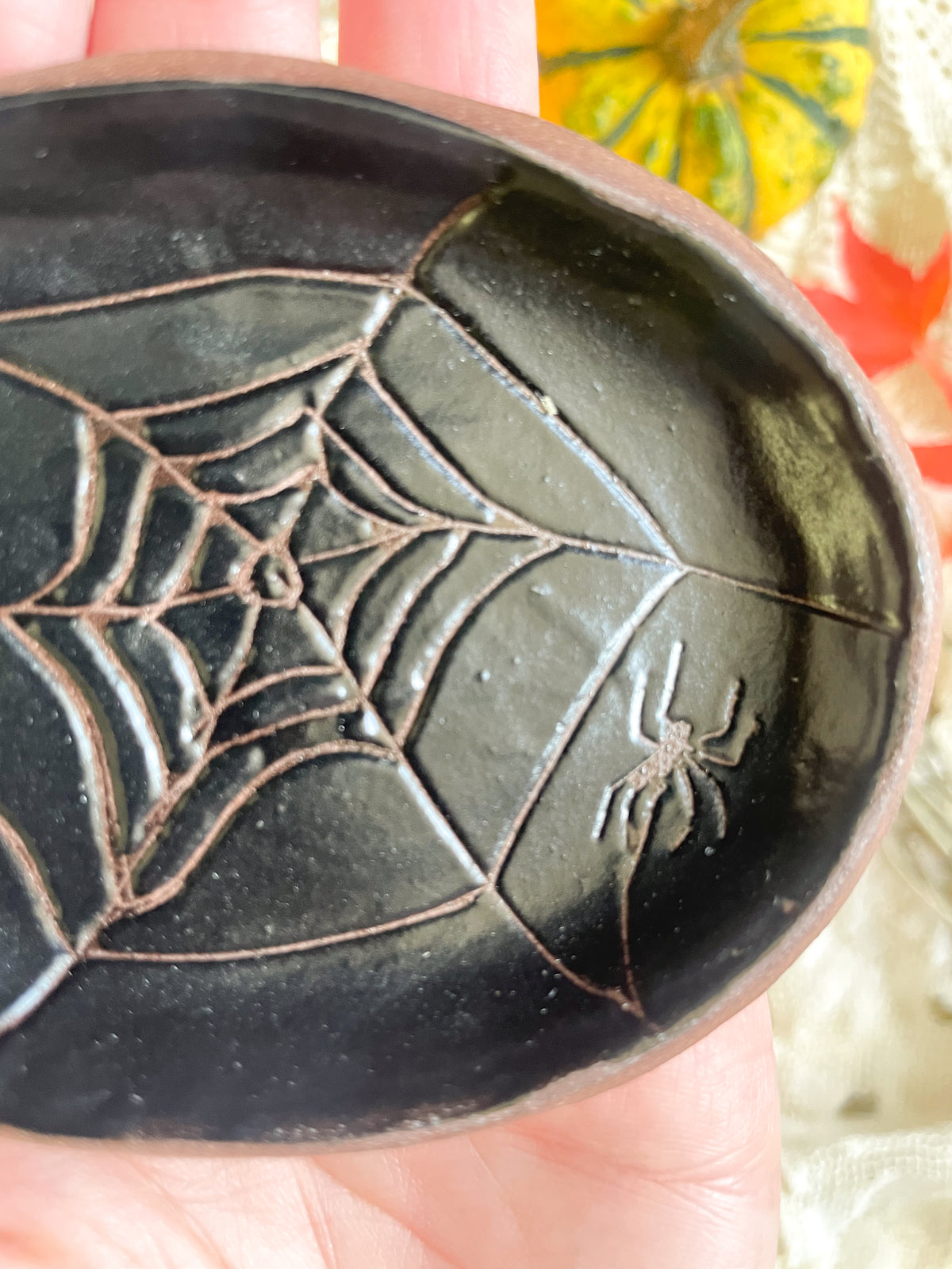 Spider dish