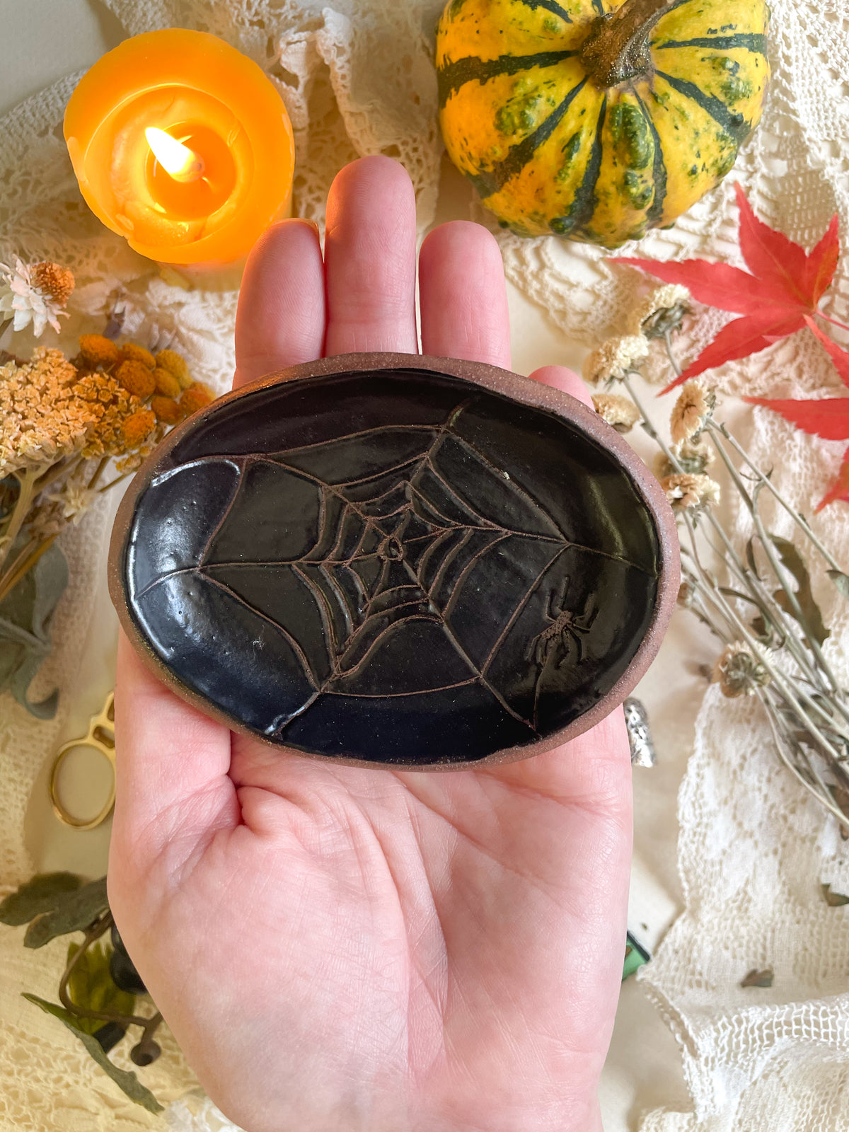 Spider dish